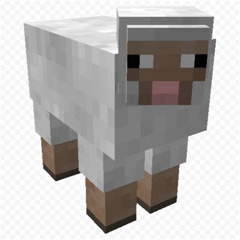 Minecraft Sheep PNG | Minecraft sheep, Minecraft, Minecraft characters