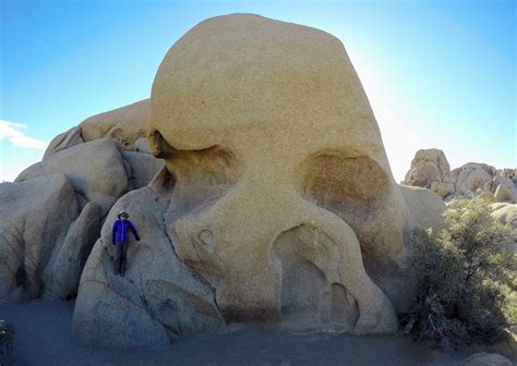 Joshua Tree National Park_Skull Rock