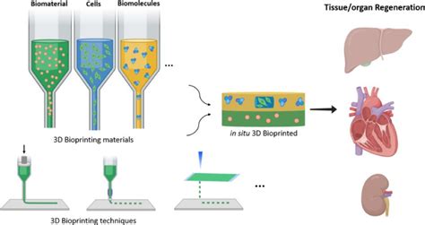 3D Bioprinting Market to Witness Stunning Growth | Organovo Holdings Inc, EnvisionTEC GmbH ...