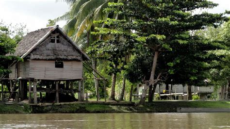 Posts about papua new guinea traditional arts on (so much world, so little time....) | House in ...