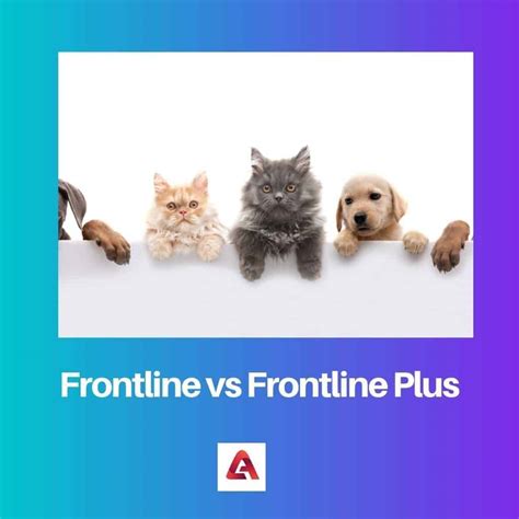 Frontline vs Frontline Plus: Difference and Comparison