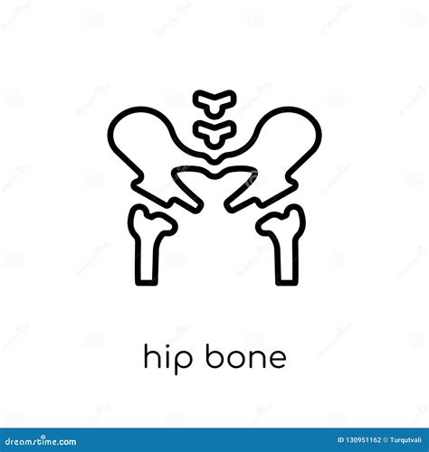 Hip Bone Clip Art