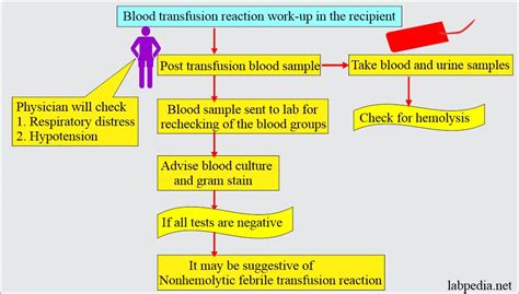 Blood banking:- part 4 - Blood Transfusion Reactions in Donor and ...