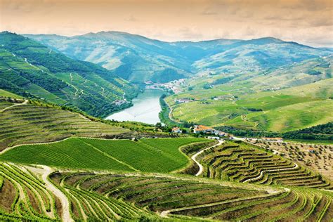 Douro Valley Tour - Portugal By Wine - Wine Tourism in Portugal