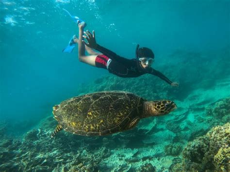 Ultimate Guide to Blue Bay Marine Park, Mauritius (2024)