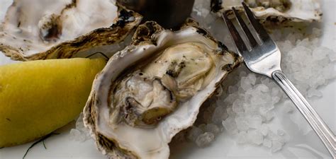 OSU gets 2 NOAA aquaculture grants to help oyster industry and marine fish hatcheries | Oregon ...