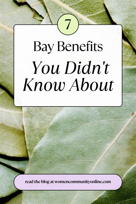 7 Bay Benefits for Hair, Skin, and More