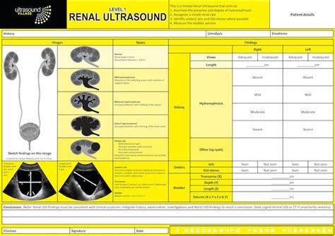 Renal Ultrasound Report • LITFL • Ultrasound Library