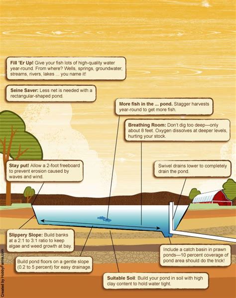 Infographic: Aquaculture Pond Construction - Hobby Farms | Pond ...