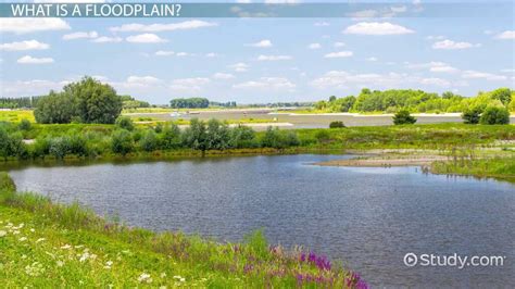 Floodplain | Definition, Diagram & Examples - Lesson | Study.com