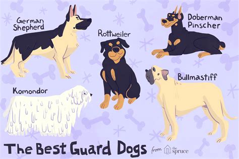 Specialized Unit: Cheap Guard Dogs