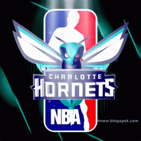 Charlotte Hornets Nba GIF - Charlotte Hornets Nba Charlotte - Discover & Share GIFs