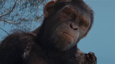 Kingdom of the Planet of the Apes - Official Final Trailer