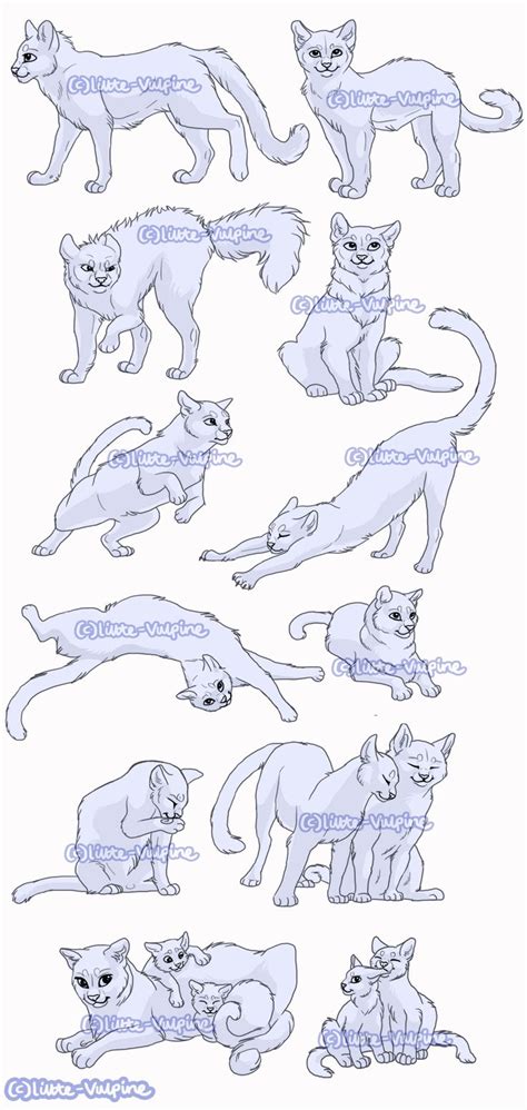 12x Cat pose pack by LittleVulpine on DeviantArt | Warrior cat drawings, Cat pose, Cats art drawing