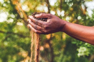 6 Black Farmers and Advocates Who Shaped American Agriculture ...