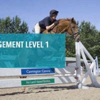 Tumpy Green Equestrian Centre, Dursley | Riding Schools - Yell