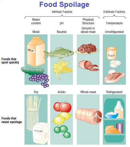 Food Spoilage: Intrinsic and Extrinsic Factors - Microbiology Notes