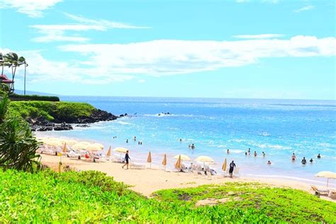 Wailea Beach - 2020 All You Need to Know BEFORE You Go (with Photos ...