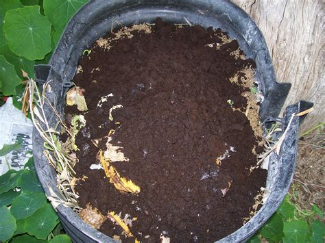 Sustainable Sisters Team: Composting Coffee Grounds