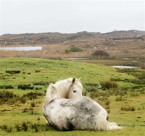 Connemara Loop: 15 Places to See - Christobel Travel