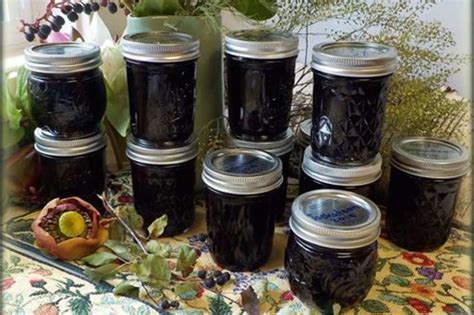 Saskatoon Berry Jam Recipe - Food.com