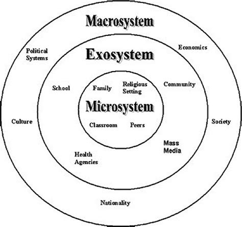 One other developmental theory needs to be addressed, even though it's not a stage theory.