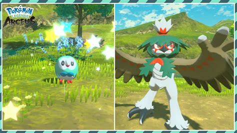 [Live] Shiny Rowlet + Shiny Hisuian Decidueye Evolution Massive ...