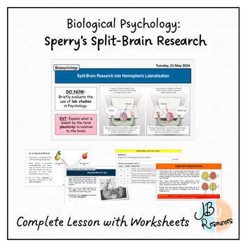 BIOPSYCHOLOGY - Sperry's Split Brain Research Experiments by JB Resources