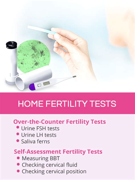 Fertility Tests | SheCares