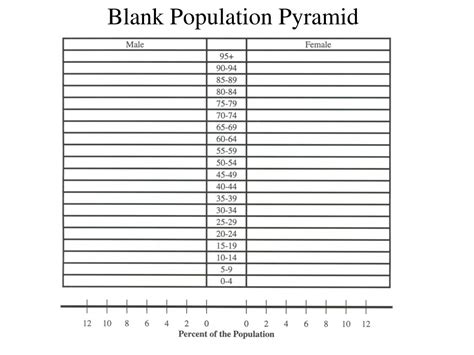 PPT - Blank Population Pyramid PowerPoint Presentation, free download - ID:626095