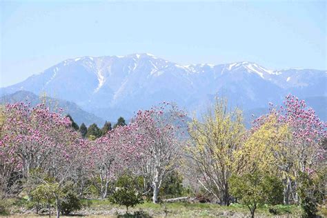 Wanderplans - Suzuka Mountain Range