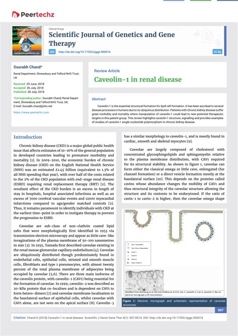 (PDF) Caveolin-1 in renal disease