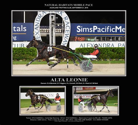 Products - NZ Harness Racing