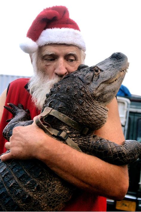 A amazing man at Coney Island who loves animals and they seem to trust him, which says a lot ...