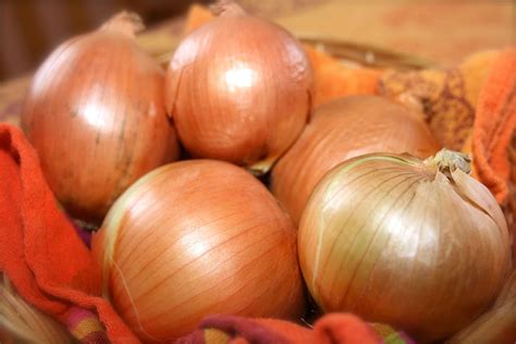 Onion – The King of Vegetables - Best Herbal Health