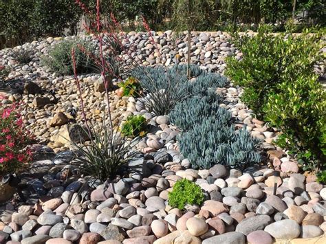 Xeriscape Gardening For Beginners