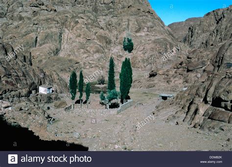 Burning Bush Sinai Stock Photos & Burning Bush Sinai Stock Images - Alamy