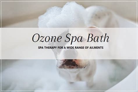 Ozone Spa Bath | Pooch Dog Spa