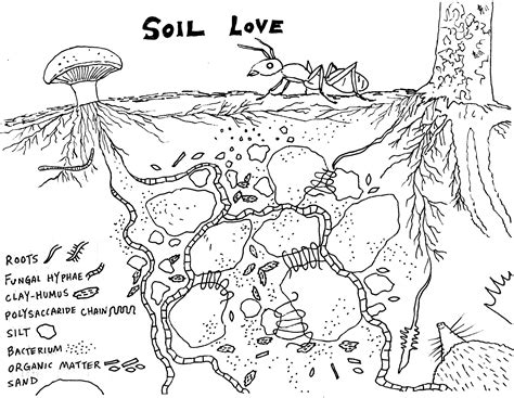 Soil Page Coloring Pages