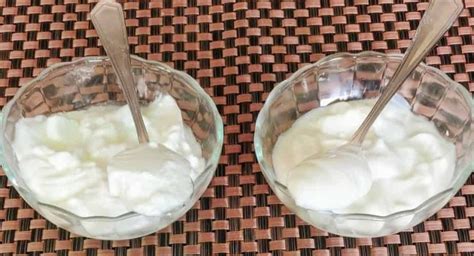 Yogurt Vs Curd | Difference Between Yogurt and Curd