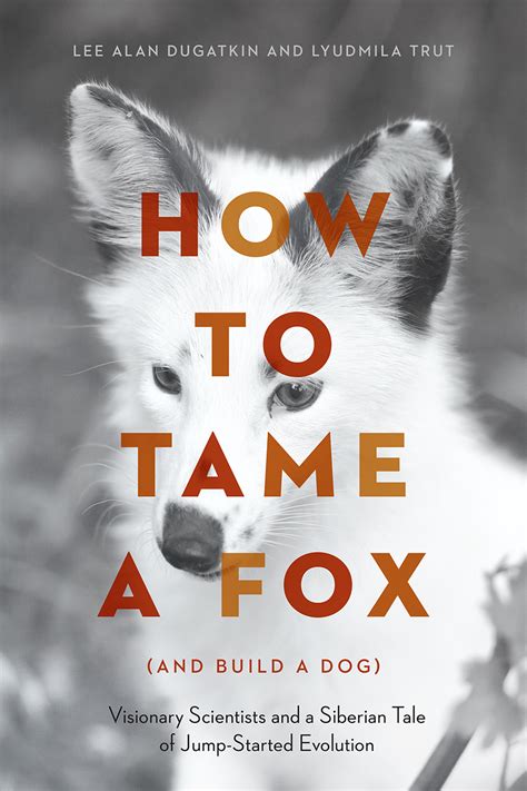 How to Tame (Really Tame) a Fox | The Chicago Blog