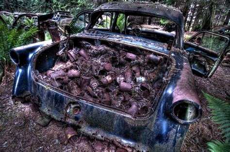 Forest Full of Abandoned Cars Photos | Image #101 - ABC News