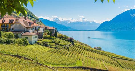 From Lausanne: Lavaux Panoramic Tour | GetYourGuide