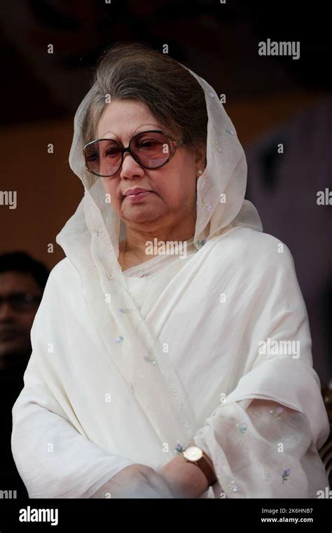 Dhaka, Bangladesh - November 28, 2012: Former Prime Minister and BNP ...