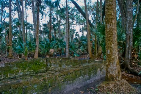 Bulow Plantation Ruins State Park | Florida Hikes!