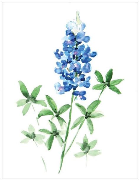 Happy bluebonnet Greeting Cards Flower Note - Etsy