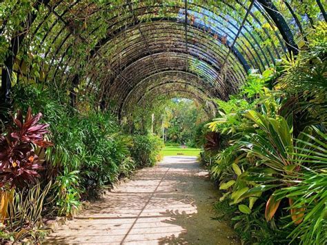 A Walk Through McKee Botanical Gardens - Florida Fun Travel