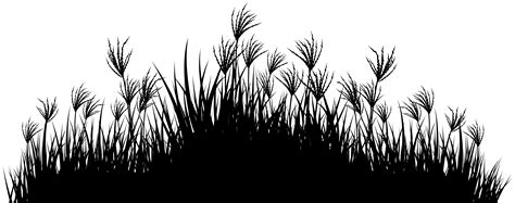 Grass Silhouette PNG Clipart