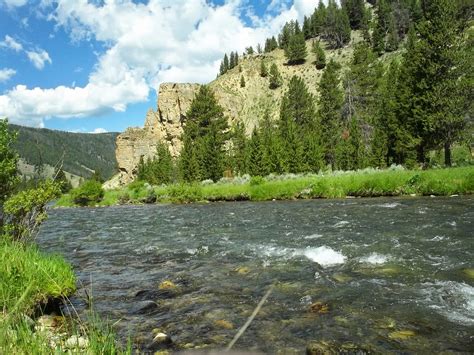 Dispatches from the Wild World: Flyfishing the Gallatin River