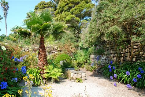 just saying ...: Tresco Abbey Garden, Tresco, Isles of Scilly